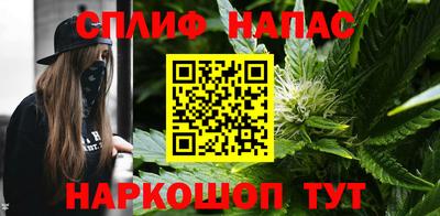 гашик Балахна