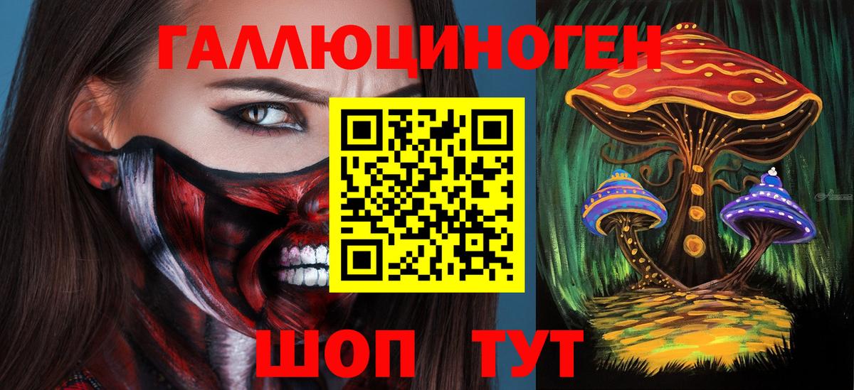 Галлюциногенные грибы прущие грибы  Вход с VPN  Вичуга 