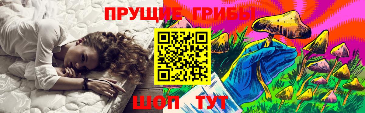 Псилоцибиновые грибы MAGIC MUSHROOMS Вичуга